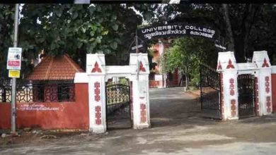 university college