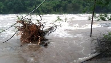 Chalakkudi River