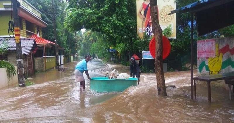 flood