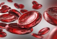 BLOOD CELLS HEMOGLOBIN