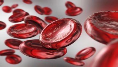 BLOOD CELLS HEMOGLOBIN