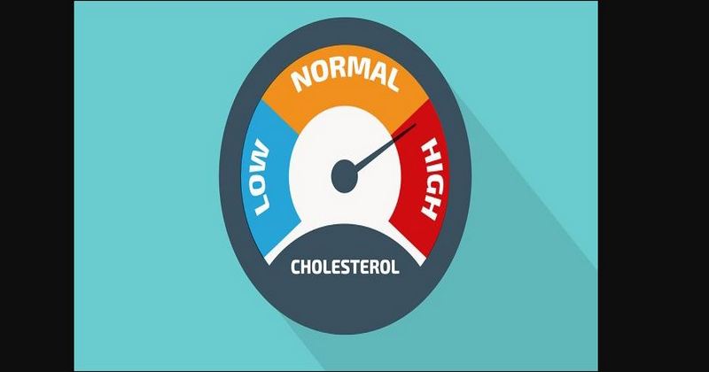 CHOLESTEROL