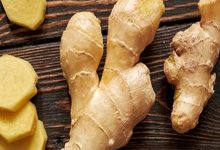 Ginger