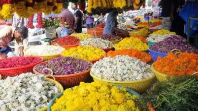 Onam flowers