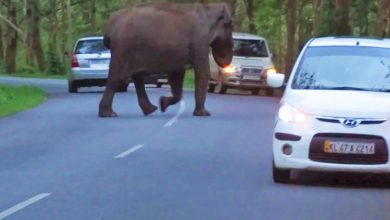 Wayanad Mysore road