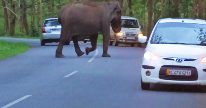 Wayanad Mysore road