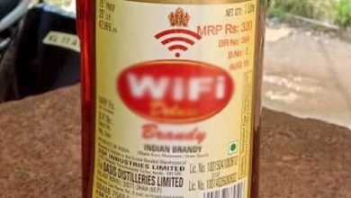 Wifi Brandy