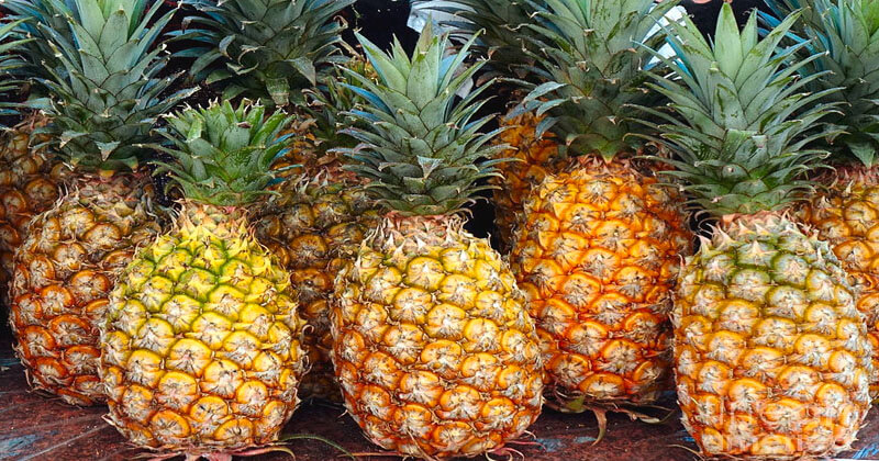 pineapple