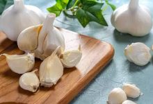 Garlic