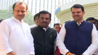 FADNAVIS AND AJITH PAWAR