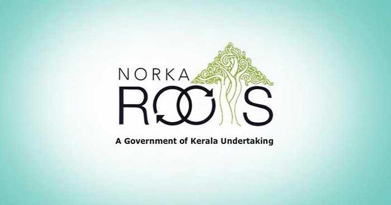 norka roots