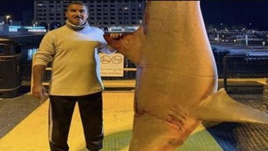 FISHERMAN WITH SHARK UAE