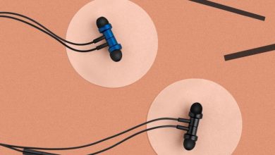 Mi Dual Ear Driver In-ear Earphones_Pic