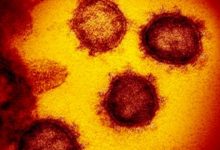 CORONA VIRUS COVID19