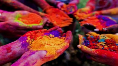 HOLI FESTIVAL