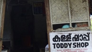 toddy shop two