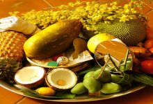VISHU KANI