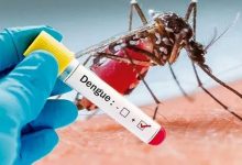 dengue-hartals