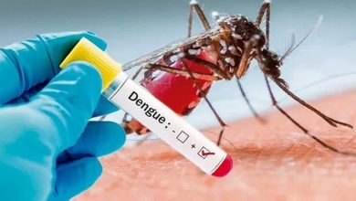 dengue-hartals