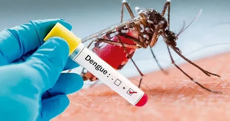 dengue-hartals