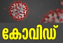 COVID-19-PANDEMIC