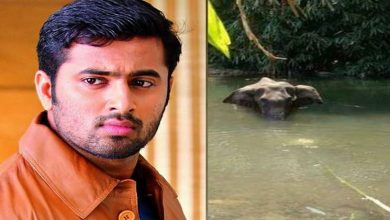 UNNI-MUKUNDAN-WILD-ELEPHANT-MURDER-RESPONSE