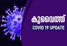 Corona Virus