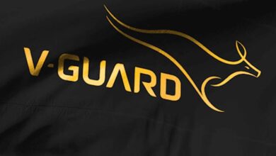 V-Guard
