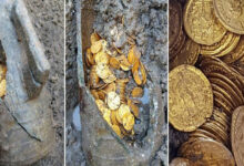 gold coin