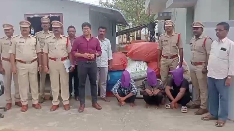 കുതിരകളെ ഉപയോഗിച്ച് കഞ്ചാവ് കടത്താൻ ശ്രമം; 3 പേർ പോലീസിന്റെ പിടിയിൽ, ഒരാൾ രക്ഷപ്പെട്ടു